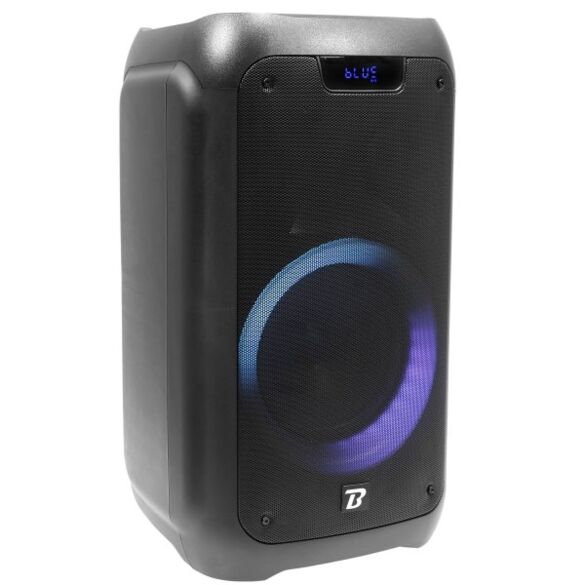 TRAVELER 300 - BOOMTONE DJ