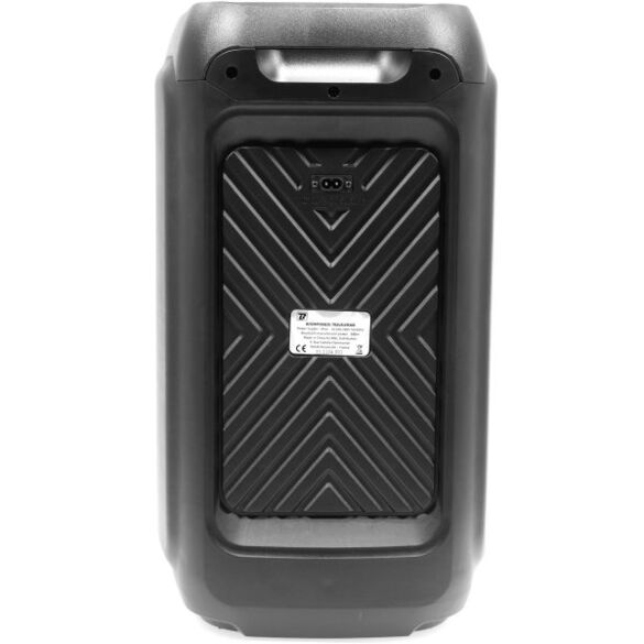 TRAVELER 300 - BOOMTONE DJ