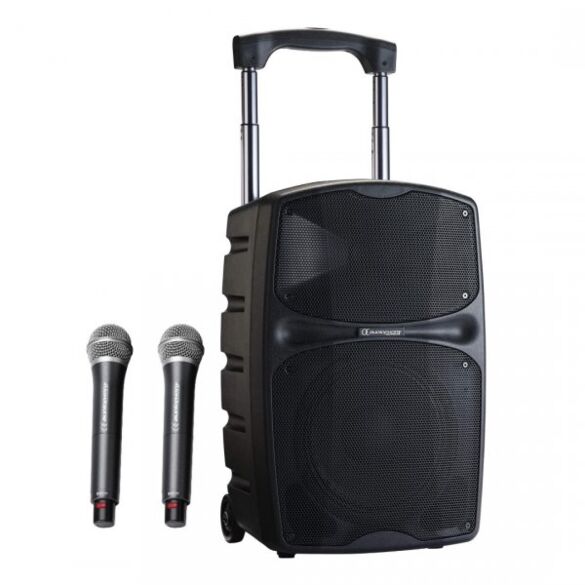AUDIOPHONY PACK RACER 120 + 2 MICROS SANS FIL MAIN