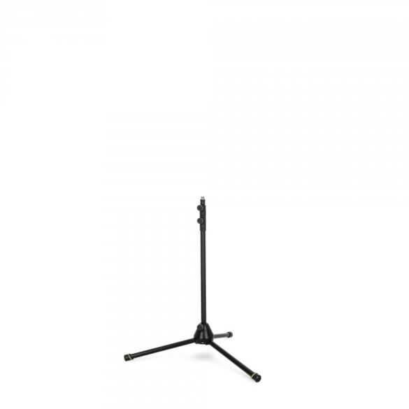 Gravity MS 43 DT B