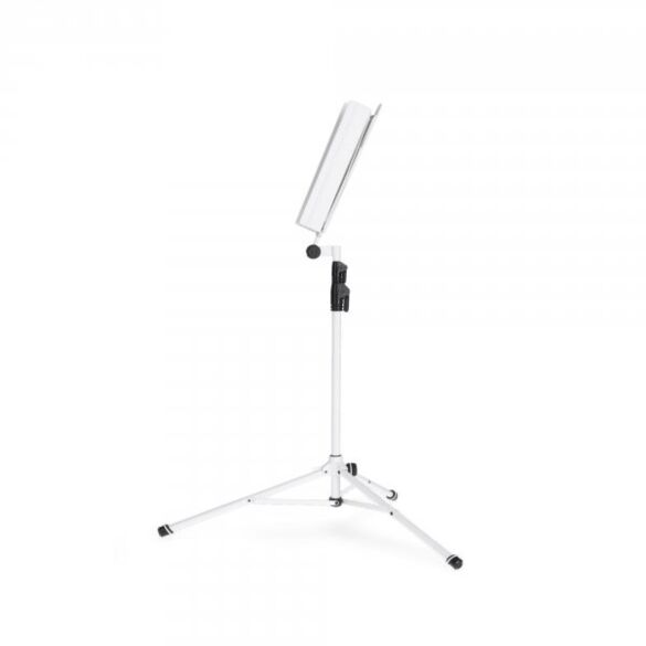 Gravity NS 441 W