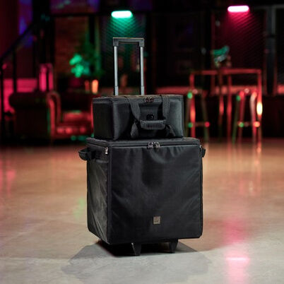 LD Systems DAVE 10 G4X BAG SET