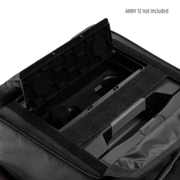 LD Systems ANNY 12  PC