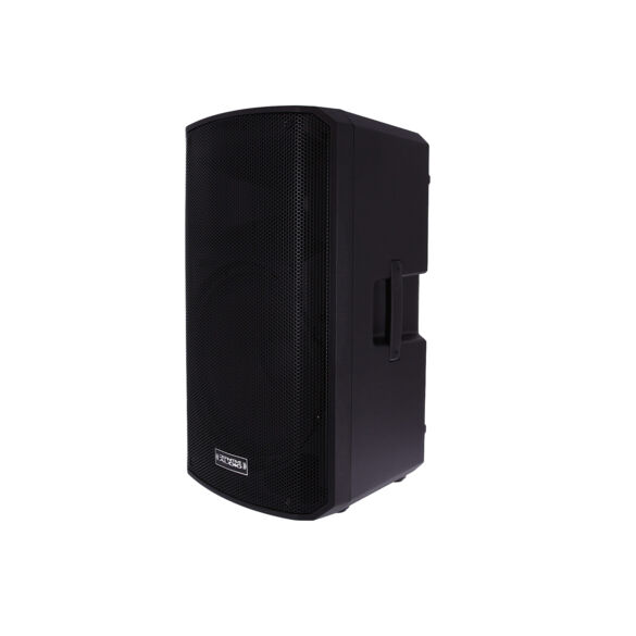 INPULSE 12 BA DSP Definitive Audio