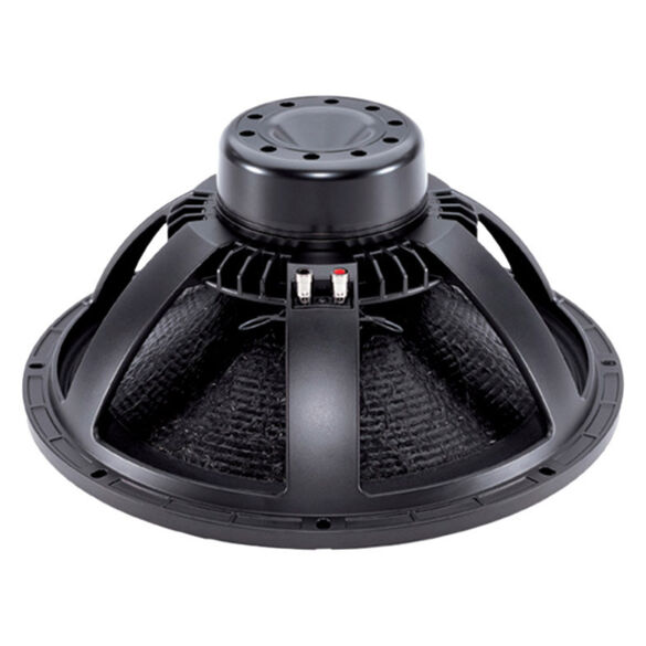 BC18NW1004OHM