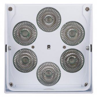ACCU COLOR WHITE JB SYSTEMS