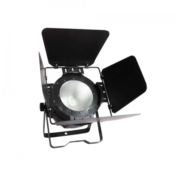 PAR COB UV 100W Power Lighting