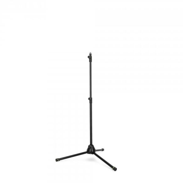 Gravity MS 43 DT B