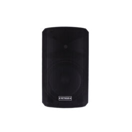 INPULSE 10 BA DSP Definitive Audio