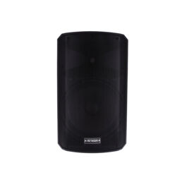 INPULSE 12 BA DSP Definitive Audio