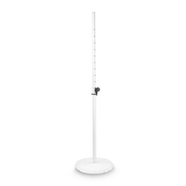 SSP WB SET 1 W Gravity